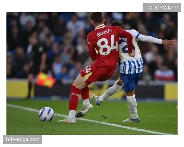 布莱顿强势崛起：英超新贵状态回暖，稳居中游强队行列